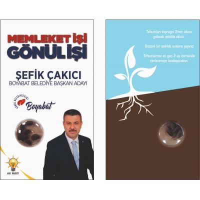 KARIŞIK KIR ÇİÇEĞİ TOHUMLARI